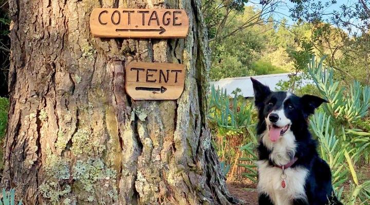 Eagles' Call Cottages & Tent