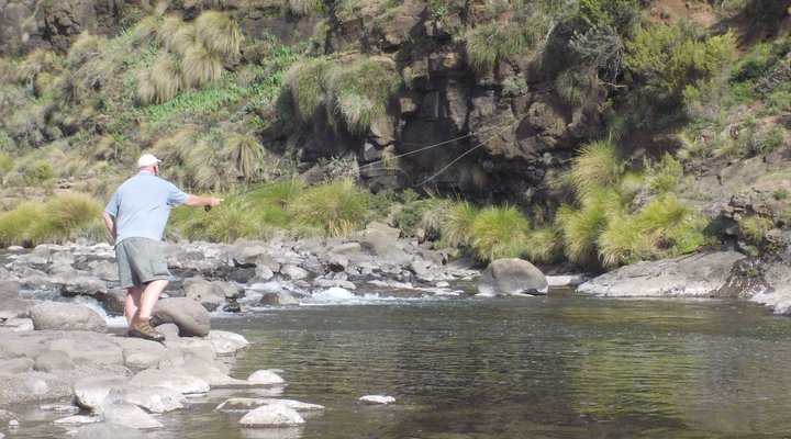 Alpine Swift Camping