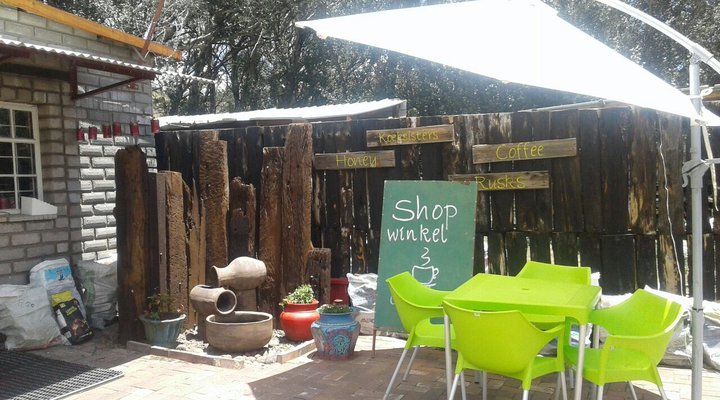 Alpine Swift Camping