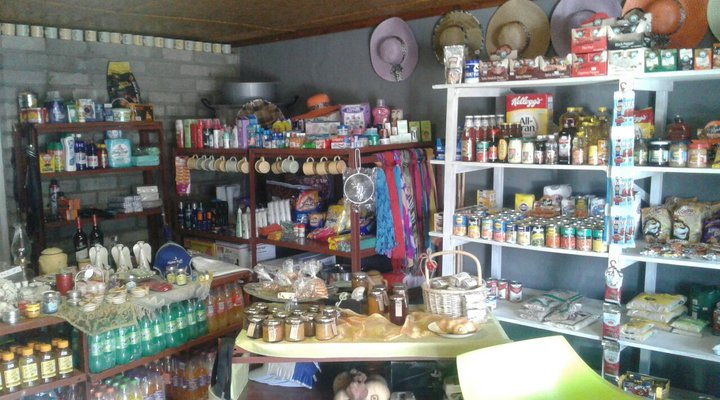 Alpine Swift Camping