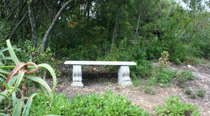 Dolphin View Holiday Apartments