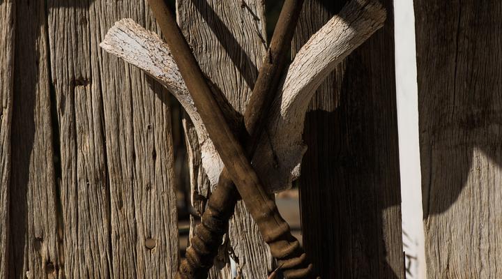 African Relish - Akkedis Cottage