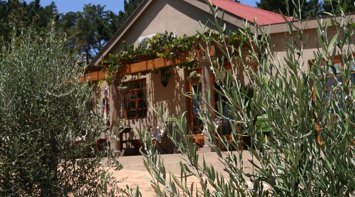 Casa Erika, The Cottage