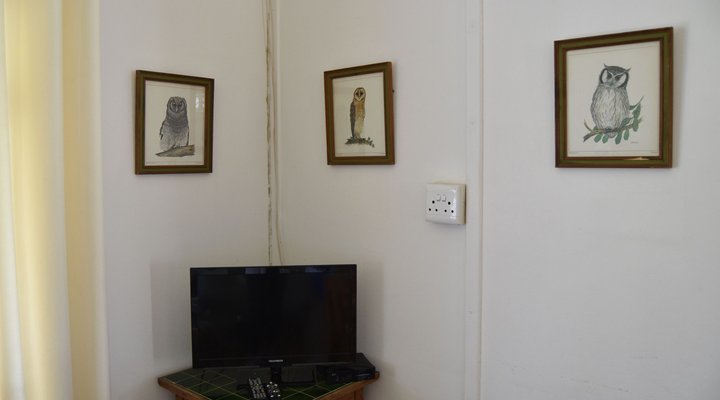 Feathers – The Robin’s Nest