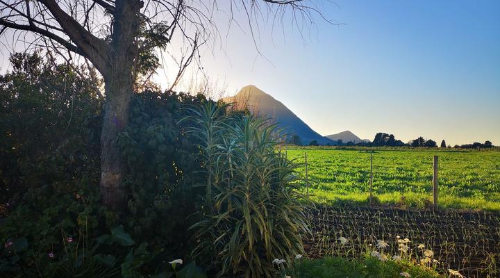 Tsitsikamma Gardens Self-catering Cottages