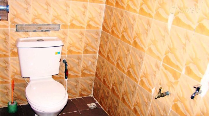 Amazon Hotel & Suites