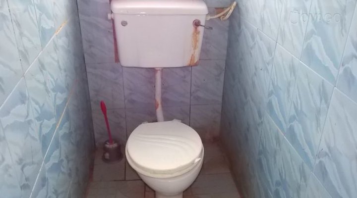 Divine Guest House Noyo Alike