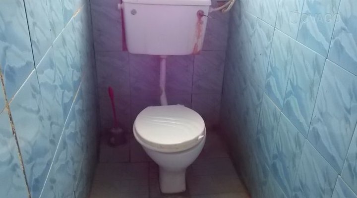 Divine Guest House Noyo Alike