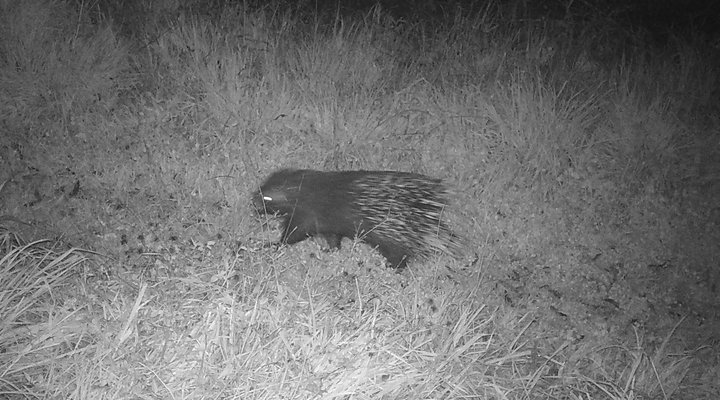 Giant's View Village