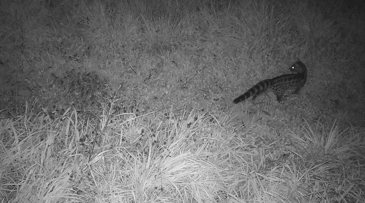 Giant's View Village