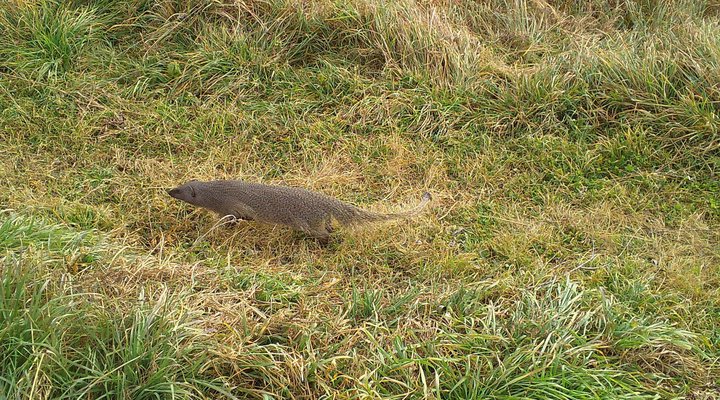 Giant's View Village