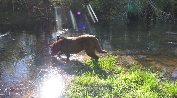 Giant's View Village