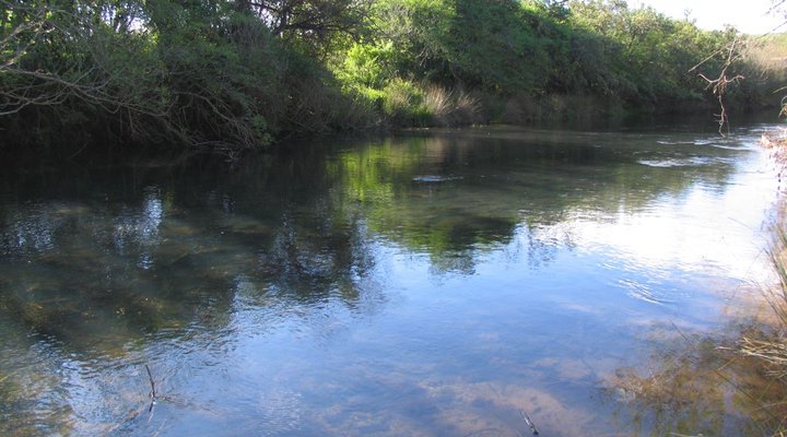 Giant's View Village