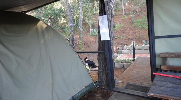 Eagles' Call Cottages & Tent