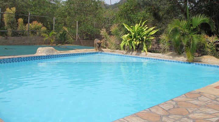 Gala Gala Eco Resort Private Campsites