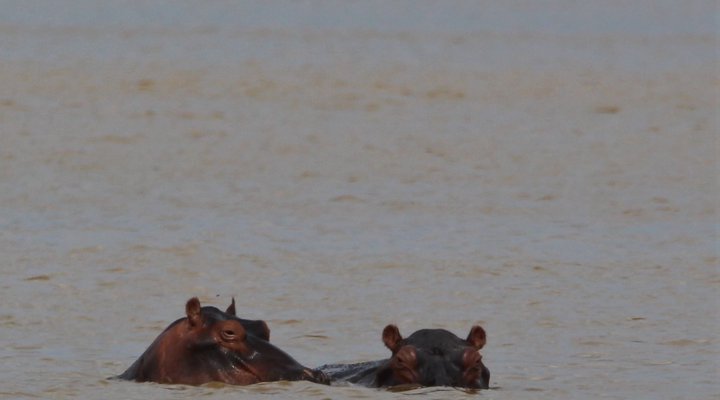 Gala Gala Eco Resort Private Campsites