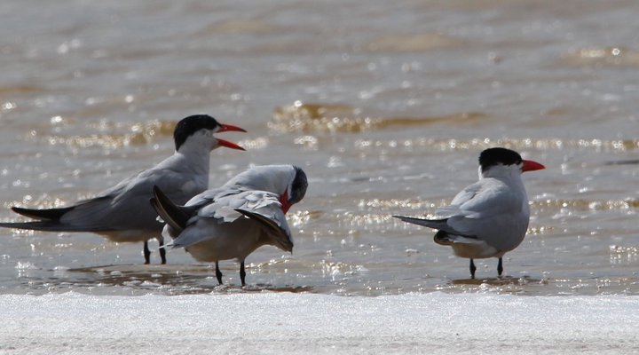 Gala Gala Eco Resort Private Campsites