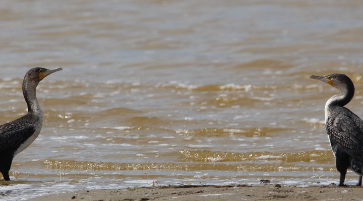 Gala Gala Eco Resort Private Campsites