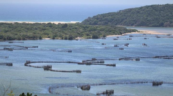 Utshwayelo, Kosi Mouth Lodge and Camp
