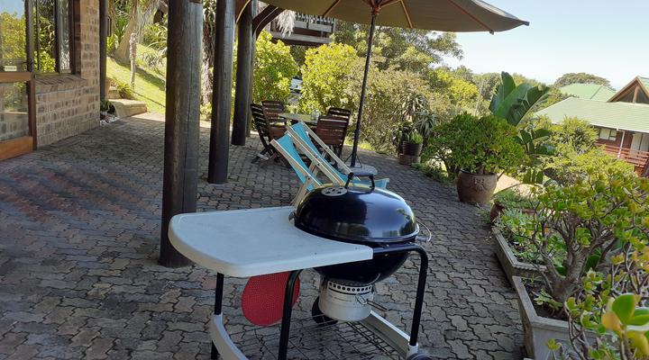 Blue Dolphin Guest Suite