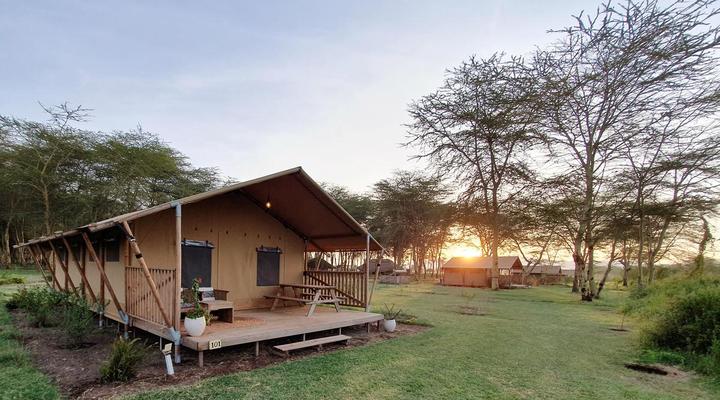 Africa Safari Lake Manyara