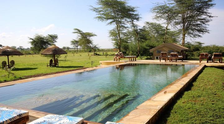 Africa Safari Lake Manyara