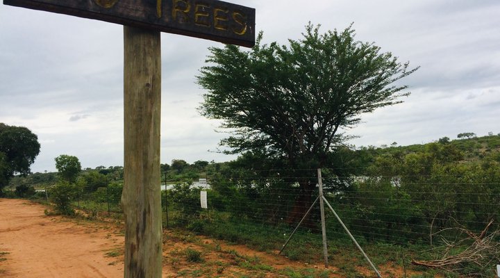 Chipembere Bush Lodge