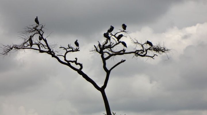 Mbizi Game Park and Lodges