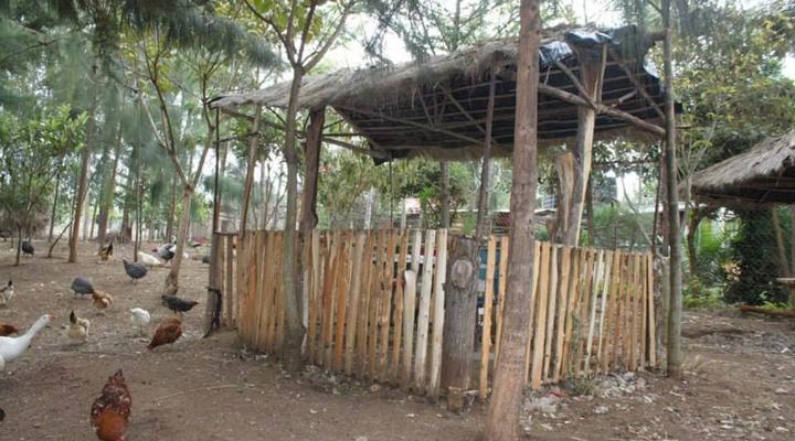 Tranquil Homestays Resort