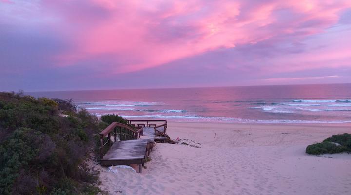Sunshine Beach Cottage