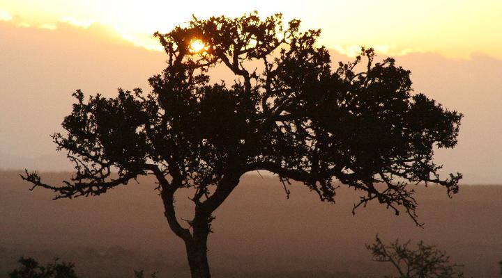 Haaspoort Bushcamp Private Nature Reserve