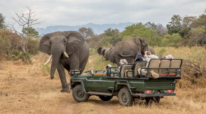 Shiduli Private Game Lodge