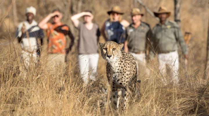 Karongwe River Lodge