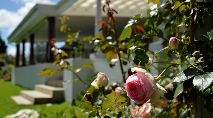 Peacehaven Guest House