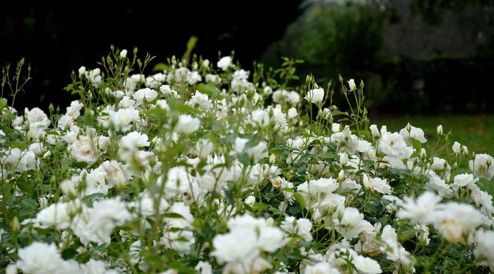 Peacehaven Guest House