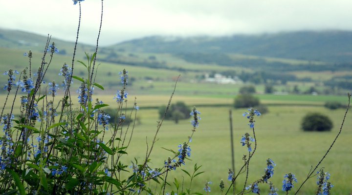 Peacehaven Guest House
