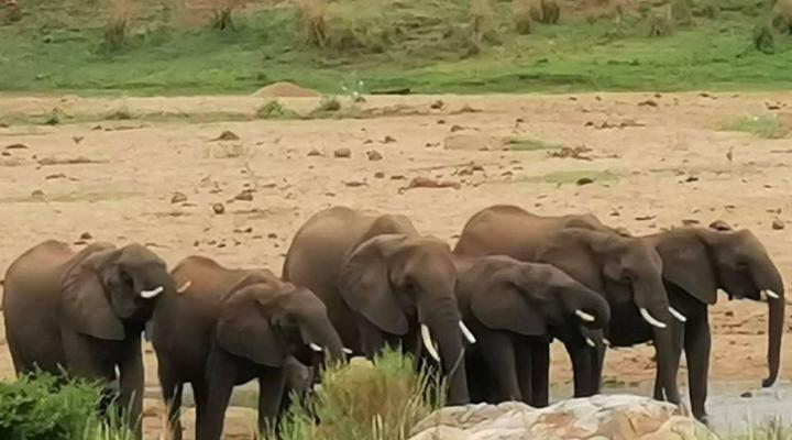 Adventure Bush House