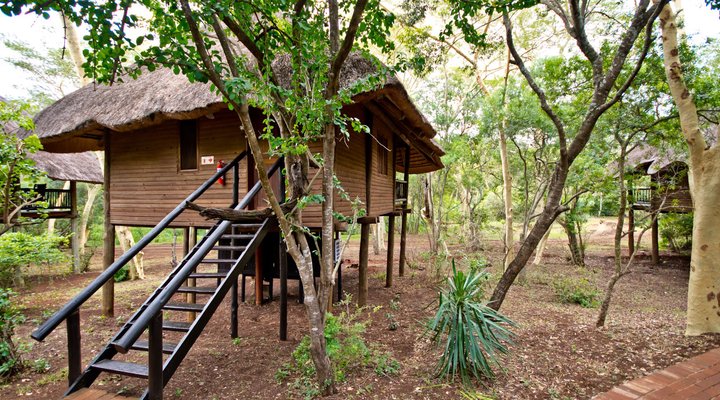 Ubizane Zululand Tree Lodge