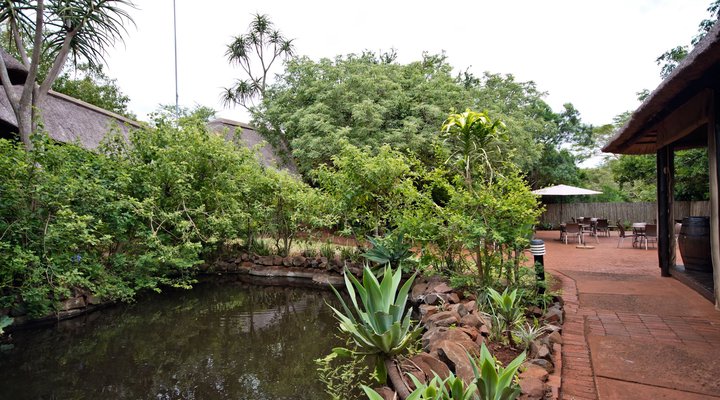 Ubizane Zululand Tree Lodge
