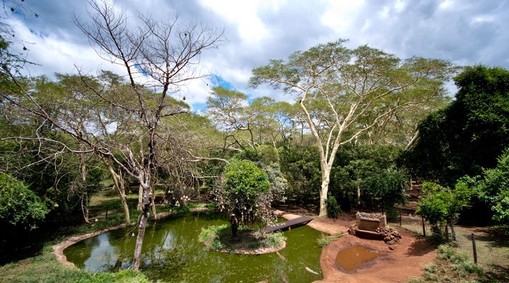 Ubizane Zululand Tree Lodge