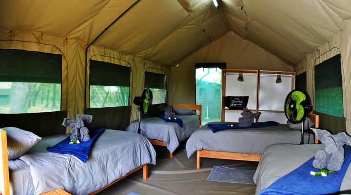 Eden Wildlife Adventures