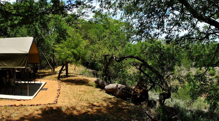 Eden Wildlife Adventures