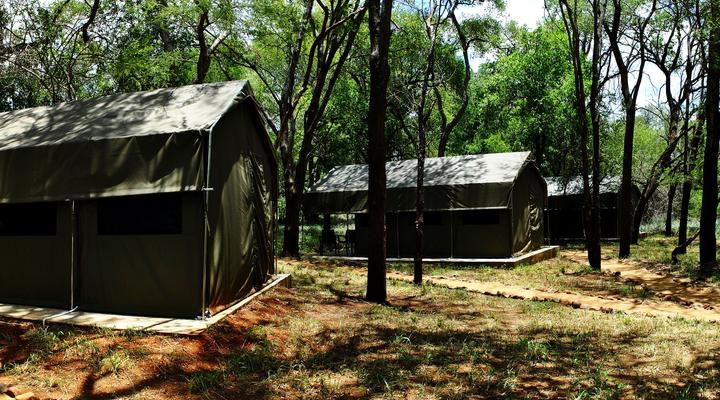 Eden Wildlife Adventures