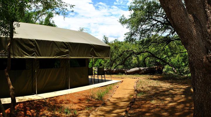 Eden Wildlife Adventures