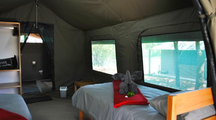 Eden Wildlife Adventures