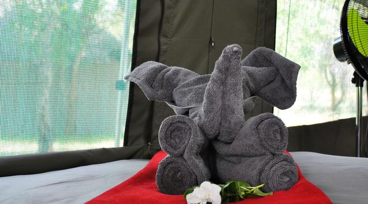 Eden Wildlife Adventures