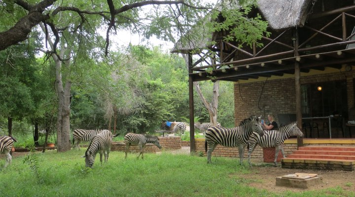 Rafiki's Resthouse