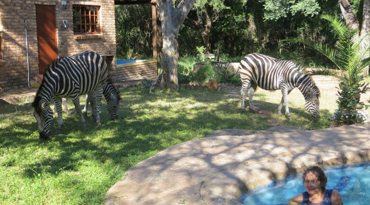 Rafiki's Resthouse