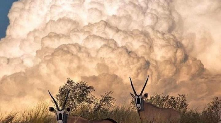 Weltevreden Game Lodge