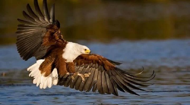 Weltevreden Game Lodge